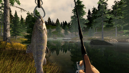 Buy Fishing Adventure Steam Key Default Title Steam key – fast digital delivery | Volt Keys