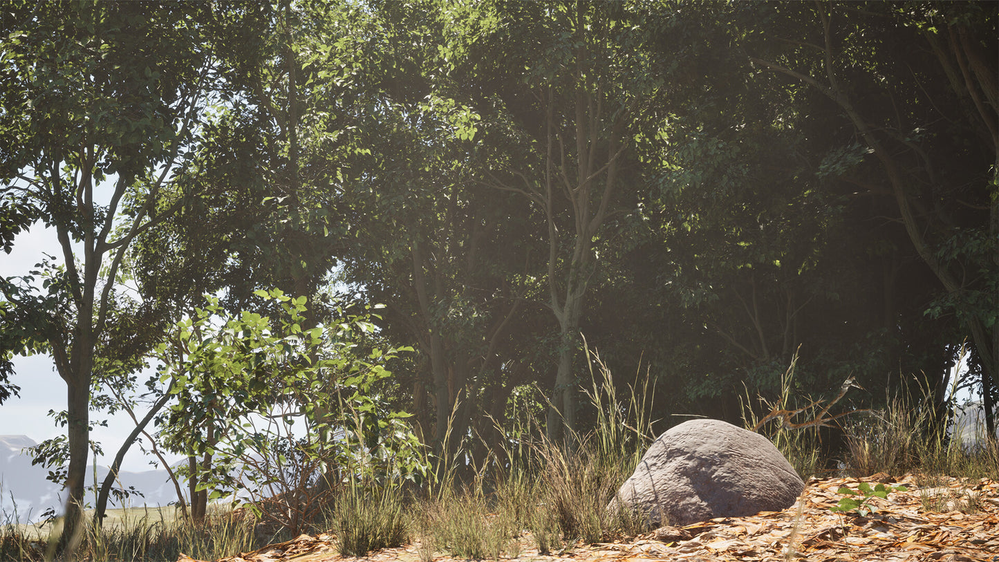Stone Simulator Just Be a Rock PC Steam Key
