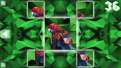 Buy Poly Puzzle: Birds Steam Key Default Title Steam key – fast digital delivery | Volt Keys
