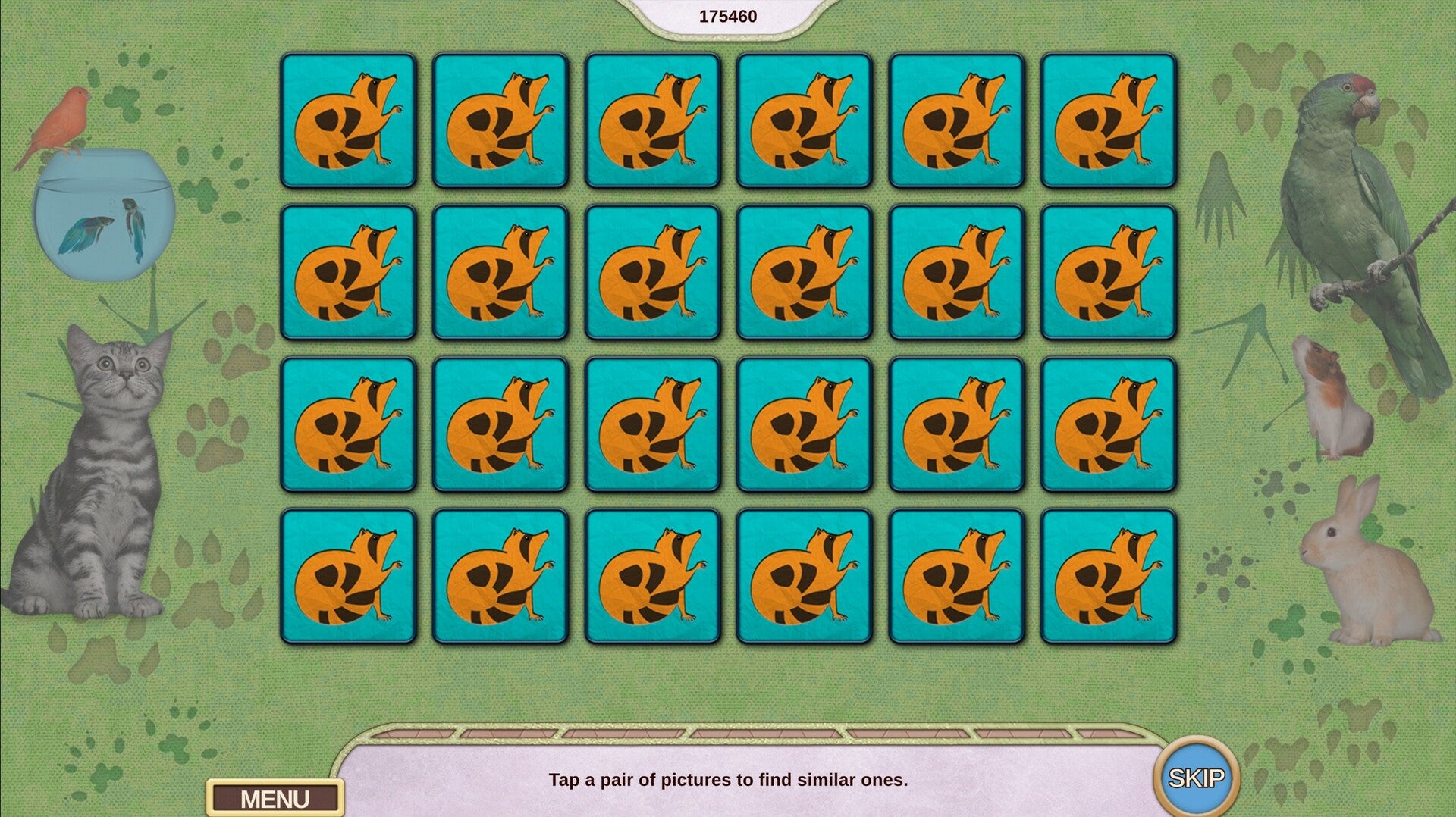 Buy My Lovely Pets Collector's Edition PC Steam Key Default Title Steam key – fast digital delivery | Volt Keys