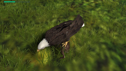 Buy Eagle Hunting Journey Steam Key Default Title Steam key – fast digital delivery | Volt Keys