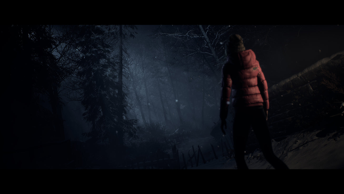 Person in a red jacket walking through a dark forest