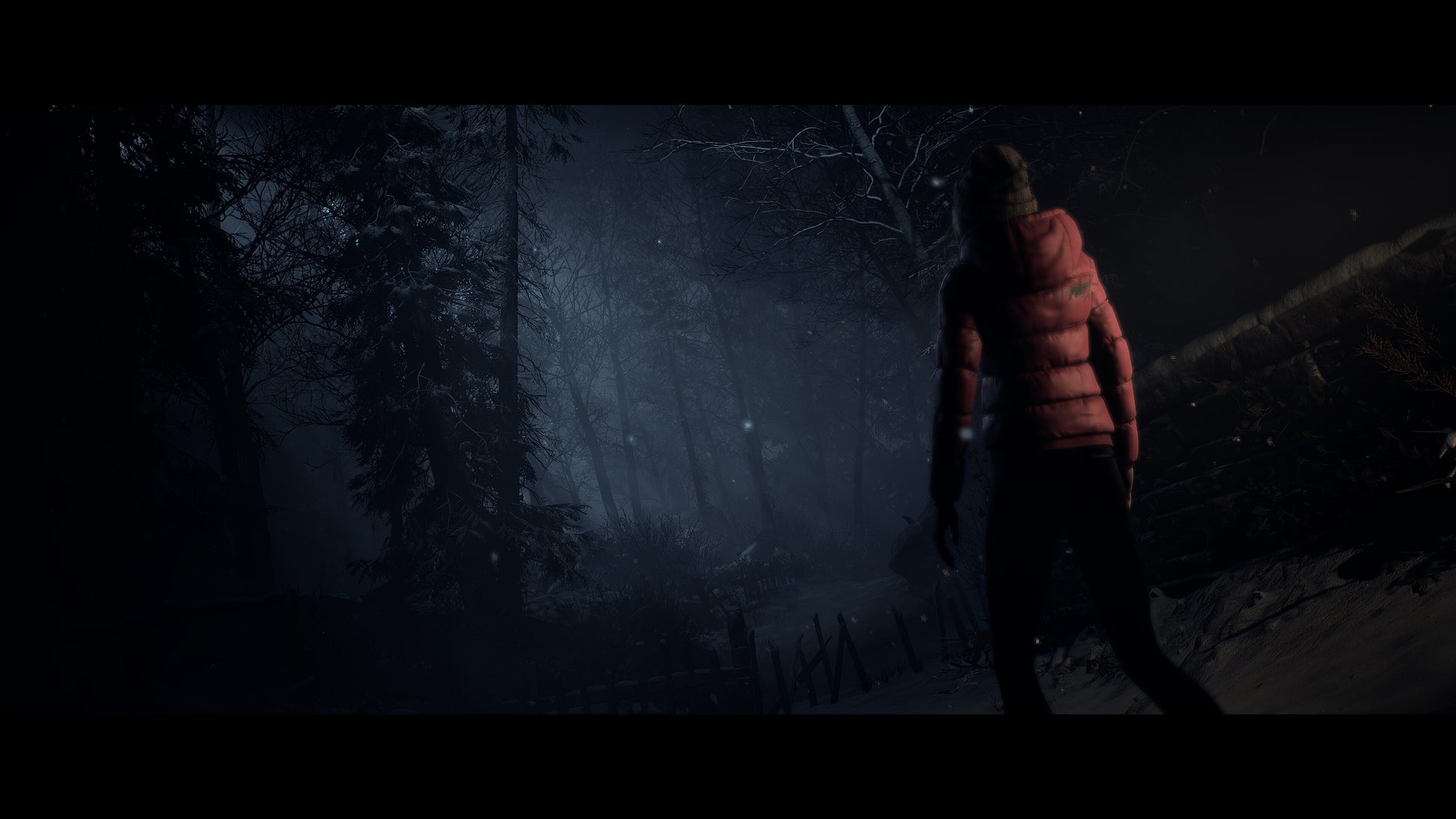 Person in a red jacket walking through a dark forest