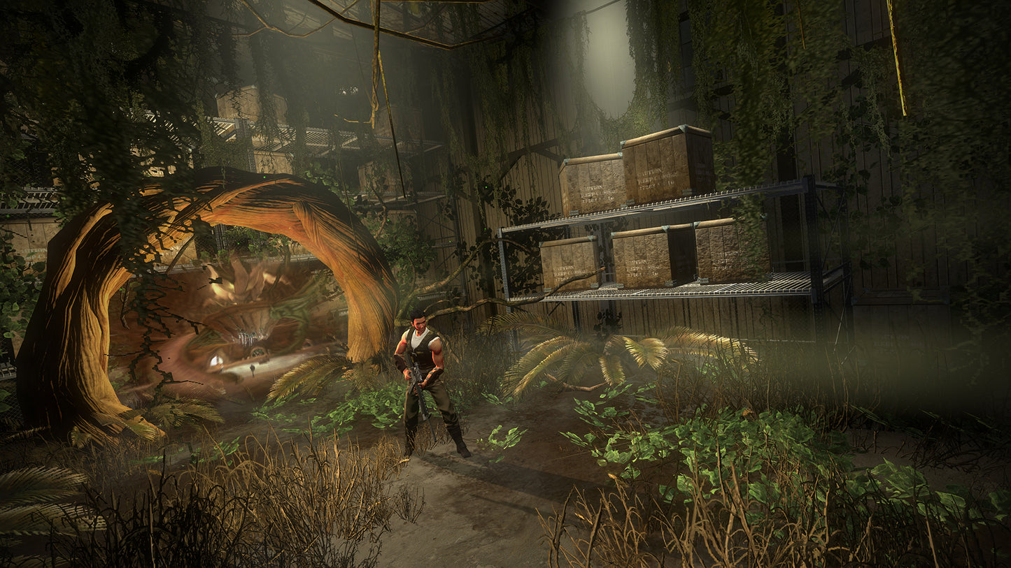 Buy Secret World Legends - Dawn of the Morninglight Collector’s Edition DLC Steam Key Default Title Steam key – fast digital delivery | Volt Keys