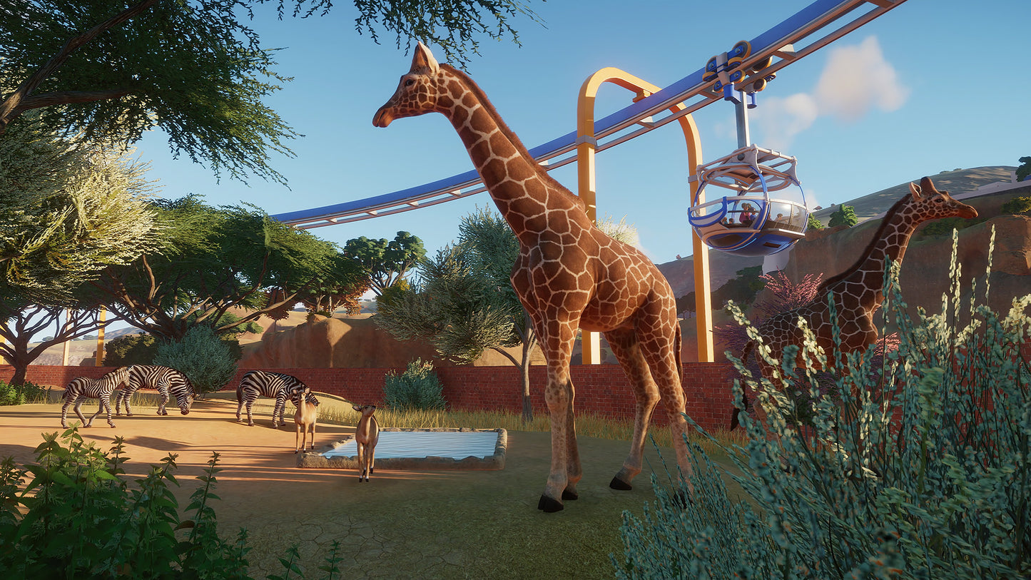 Giraffes and zebras in a safari setting with a roller coaster track.