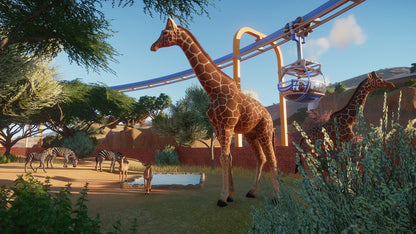Giraffes and zebras in a safari setting with a roller coaster track.