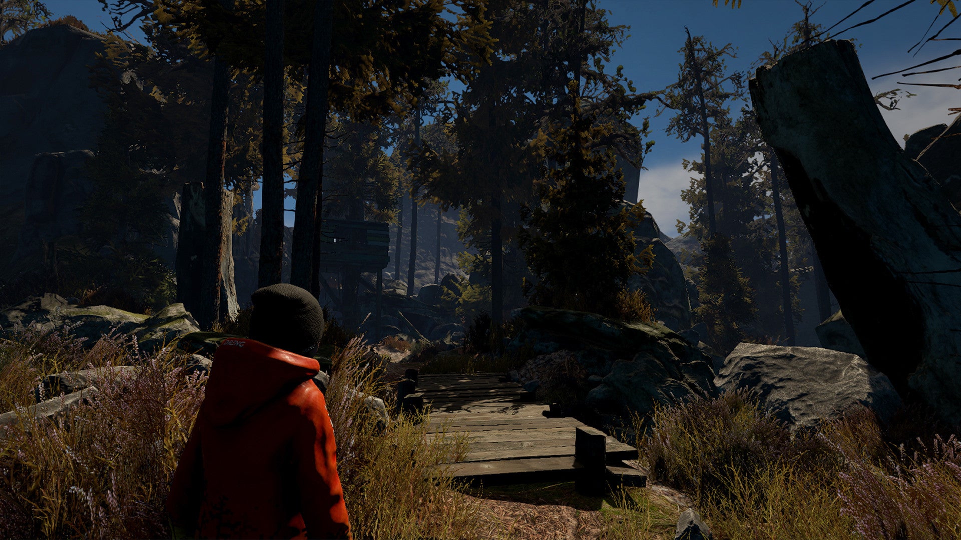 Buy Through the Woods Steam Key Default Title Steam key – fast digital delivery | Volt Keys