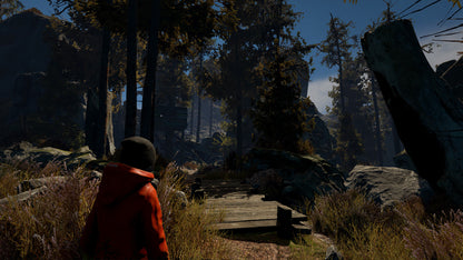 Buy Through the Woods Steam Key Default Title Steam key – fast digital delivery | Volt Keys