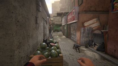 Gameplay scene from a first-person perspective in an urban alleyway with watermelons and a cat.