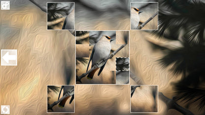 Buy Puzzle Art: Birds Steam Key Default Title Steam key – fast digital delivery | Volt Keys