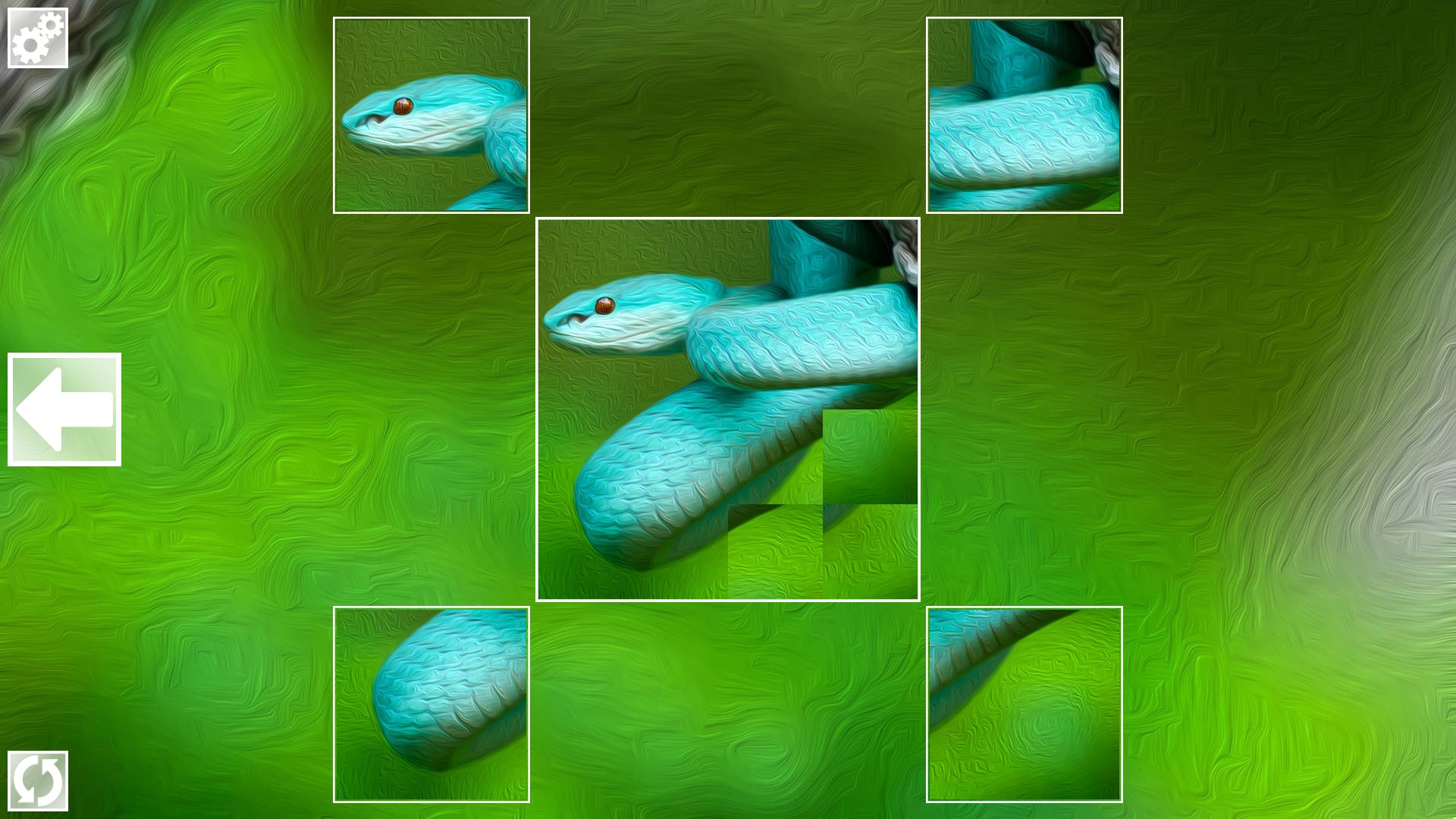 Buy Puzzle Art: Snakes PC Steam Key Default Title Steam key – fast digital delivery | Volt Keys
