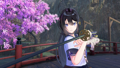 Buy SAMURAI MAIDEN Deluxe Edition Steam Key Default Title Steam key – fast digital delivery | Volt Keys