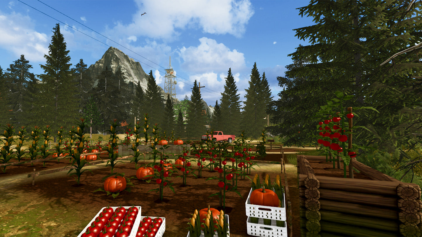 Buy Countryside Life Simulator Steam Key Default Title Steam key – fast digital delivery | Volt Keys