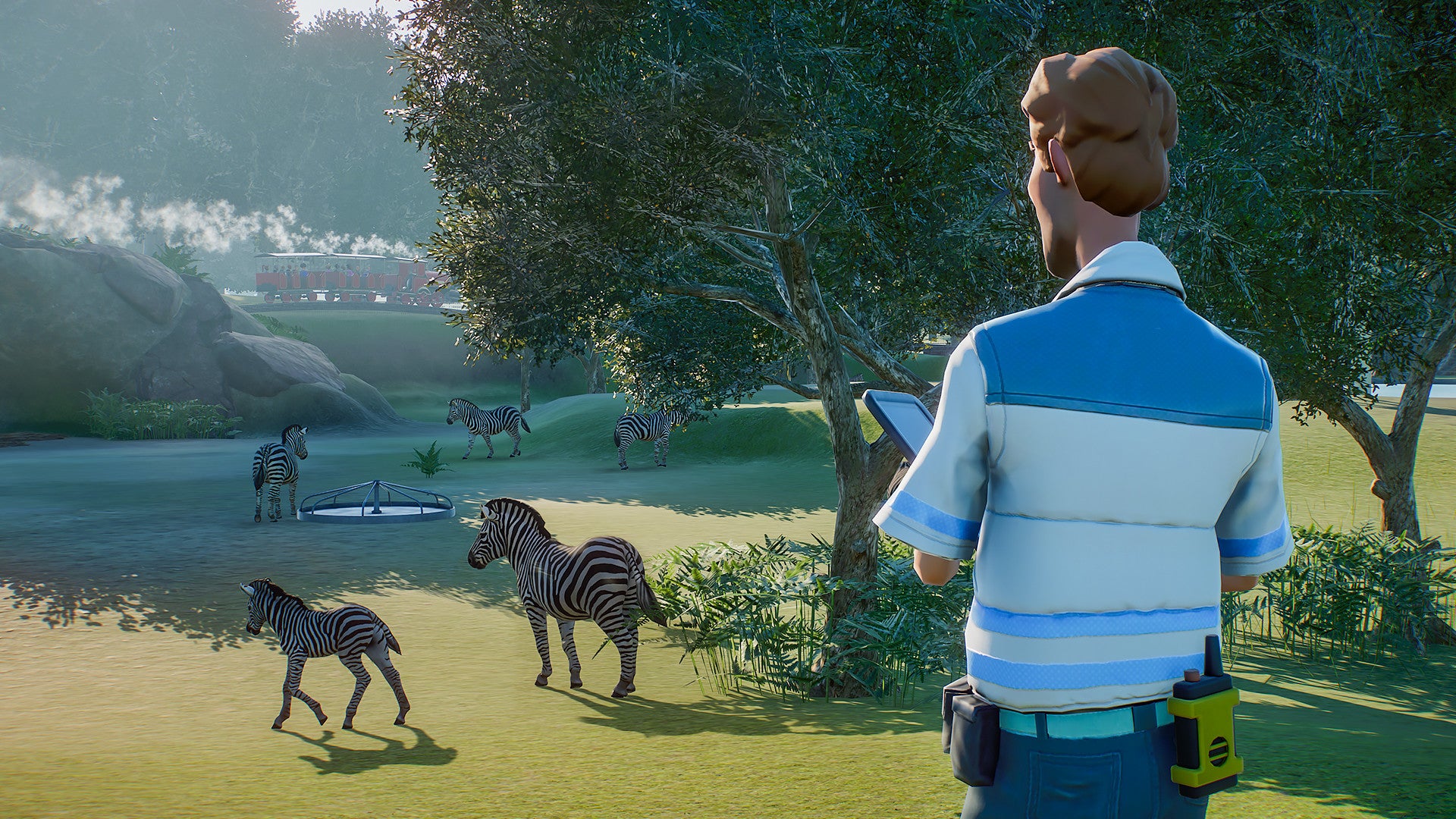 Person observing zebras in a natural setting with trees and mountains in the background