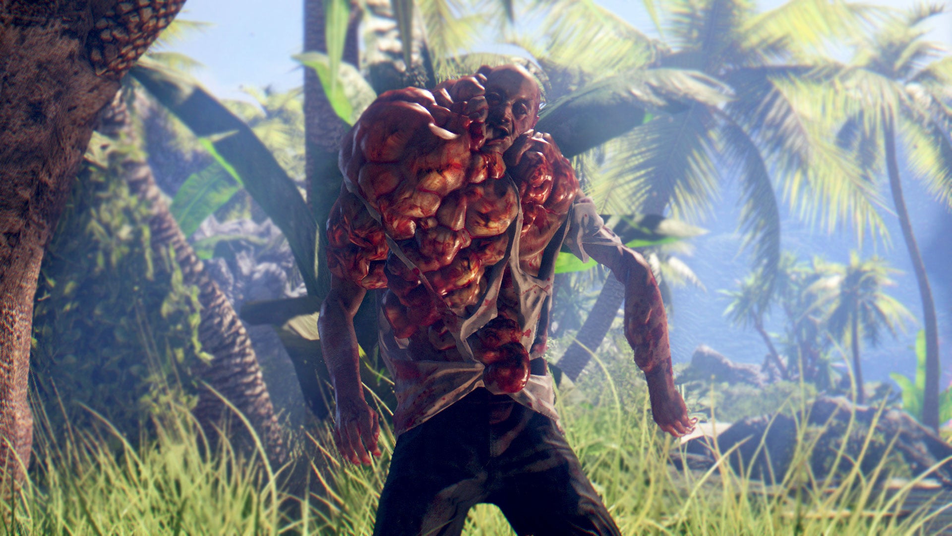 Buy Dead Island Definitive Edition DE Steam Key Default Title Steam key – fast digital delivery | Volt Keys