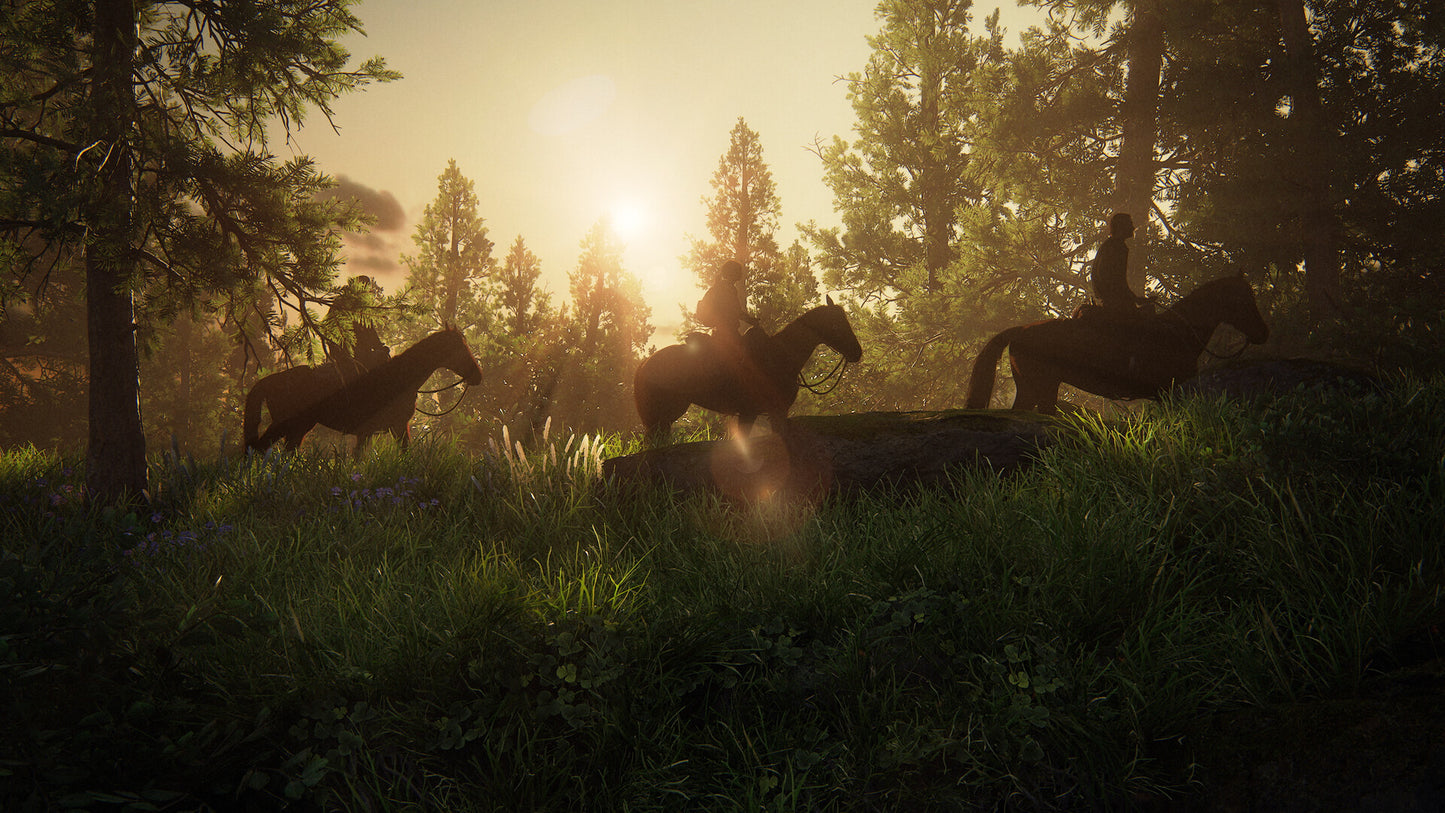 The Last of Us™ Part 1 Steam Key