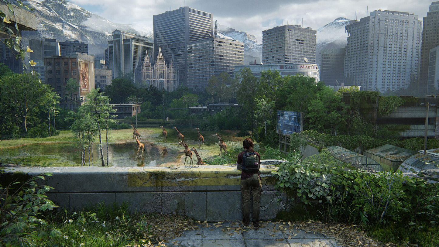 The Last of Us™ Part 1 Steam Key