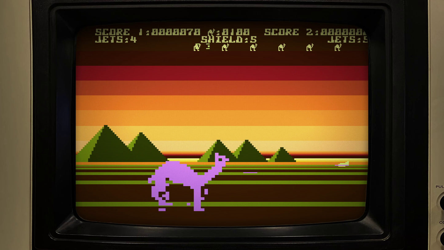 Llamasoft: The Jeff Minter Story PC Steam Key