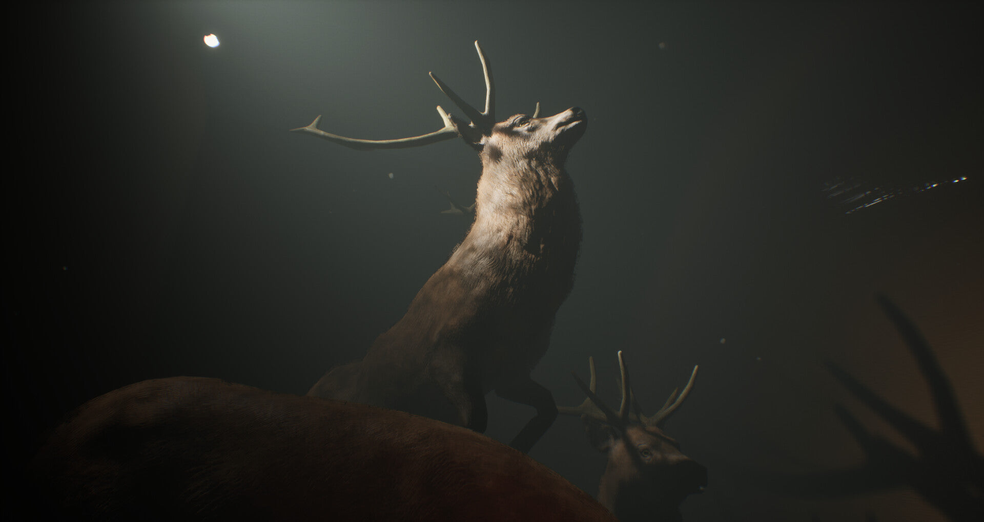 Buy Project 13: Taxidermy Trails PC Steam Key Default Title Steam key – fast digital delivery | Volt Keys
