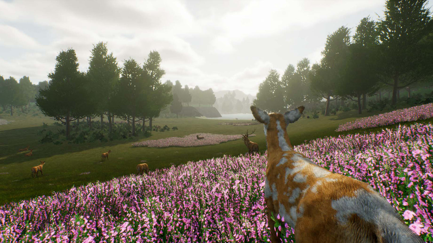 Buy Deer Journey Steam Key Default Title Steam key – fast digital delivery | Volt Keys