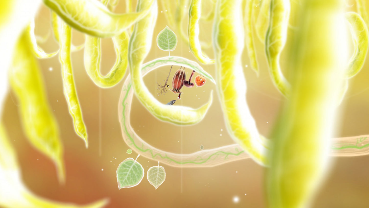 Buy Botanicula Steam Key Default Title Steam key – fast digital delivery | Volt Keys