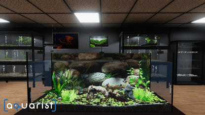 Buy Aquarist Steam Key Default Title Steam key – fast digital delivery | Volt Keys