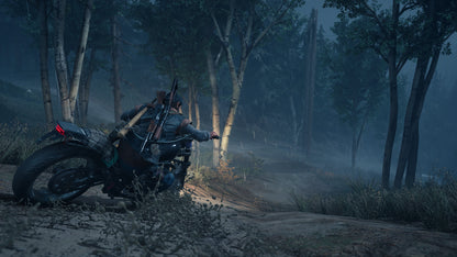 Person on a motorcycle in a forest at night