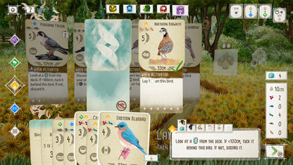 Buy Wingspan Steam Key Default Title Steam key – fast digital delivery | Volt Keys