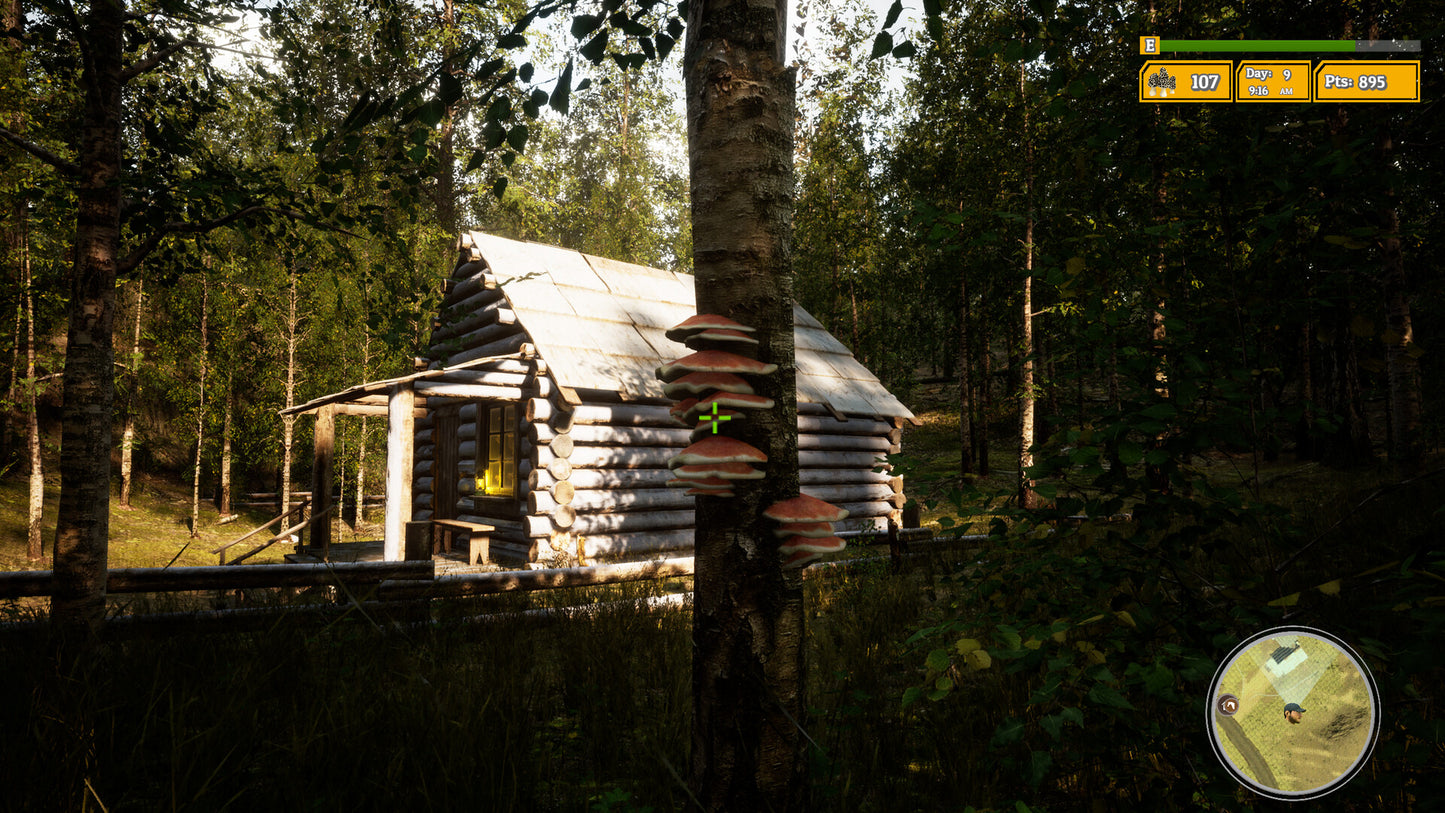 Buy Morels: The Hunt 2 Steam Key Default Title Steam key – fast digital delivery | Volt Keys