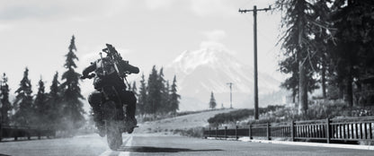 Person riding a motorcycle on a road with trees and mountains in the background