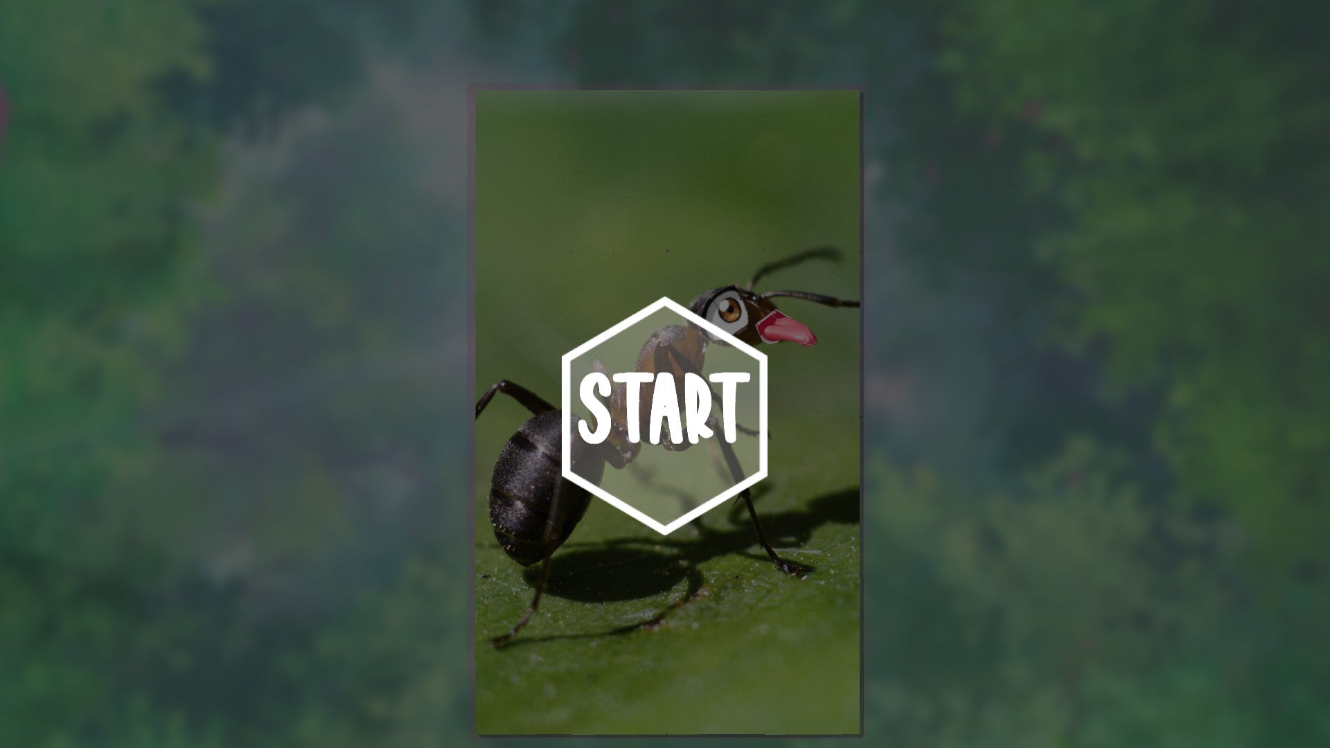 Buy My Sweet Ants! Steam Key Default Title Steam key – fast digital delivery | Volt Keys