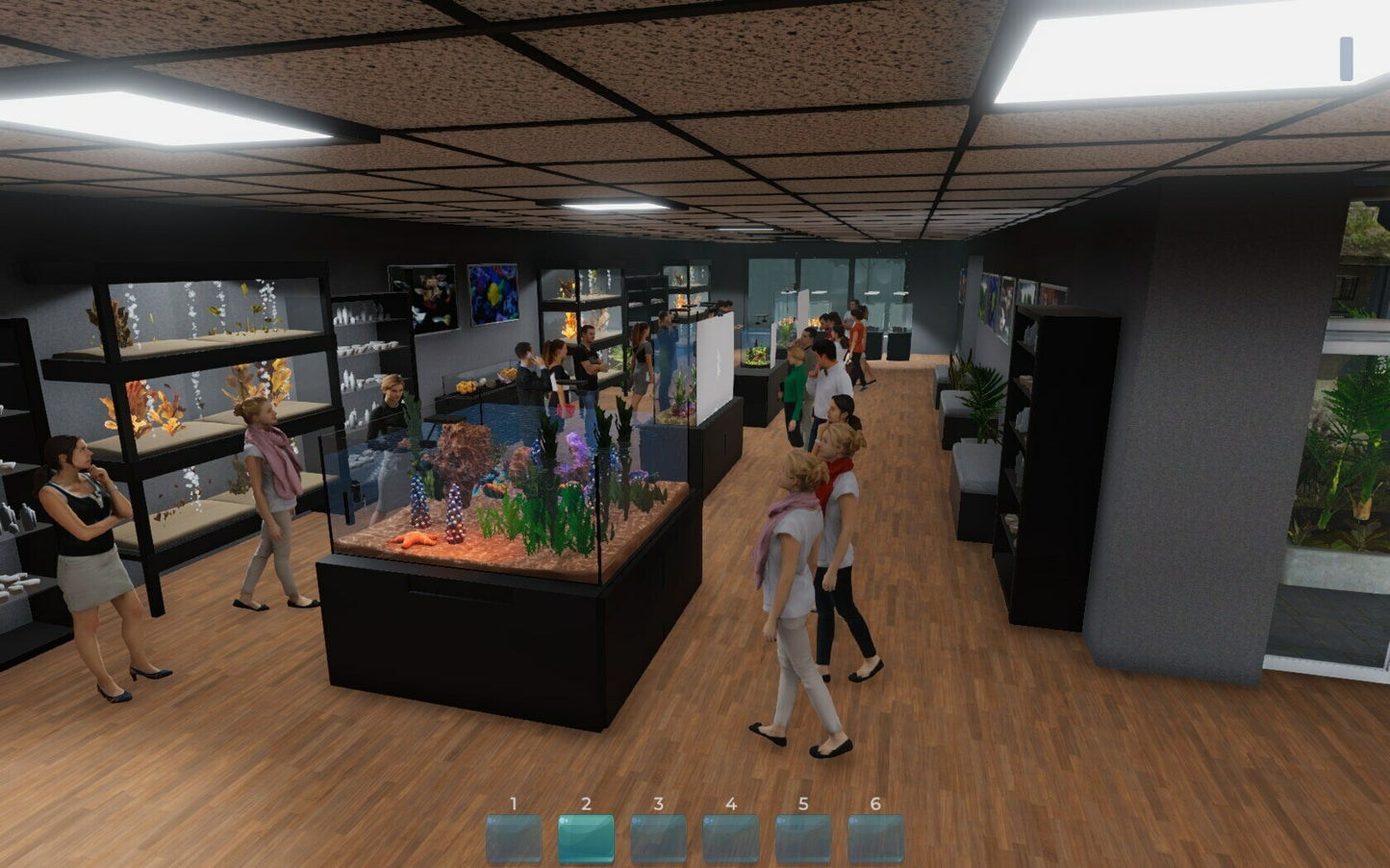 Buy Aquarist Steam Key Default Title Steam key – fast digital delivery | Volt Keys