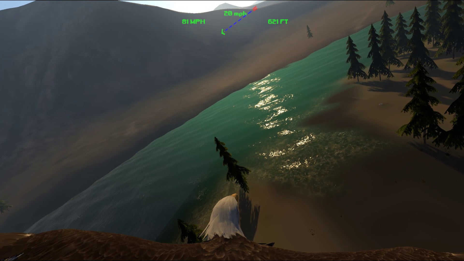 Buy Aquila Bird Flight Simulator Steam Key Default Title Steam key – fast digital delivery | Volt Keys