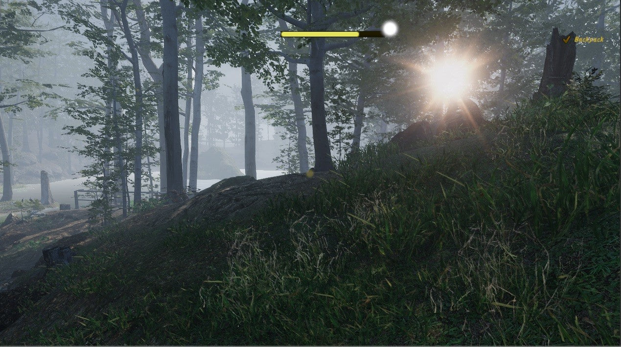 Buy Naturalist Stories Steam Key Default Title Steam key – fast digital delivery | Volt Keys