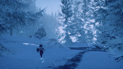 Buy Skabma - Snowfall PC Steam Key Default Title Steam key – fast digital delivery | Volt Keys