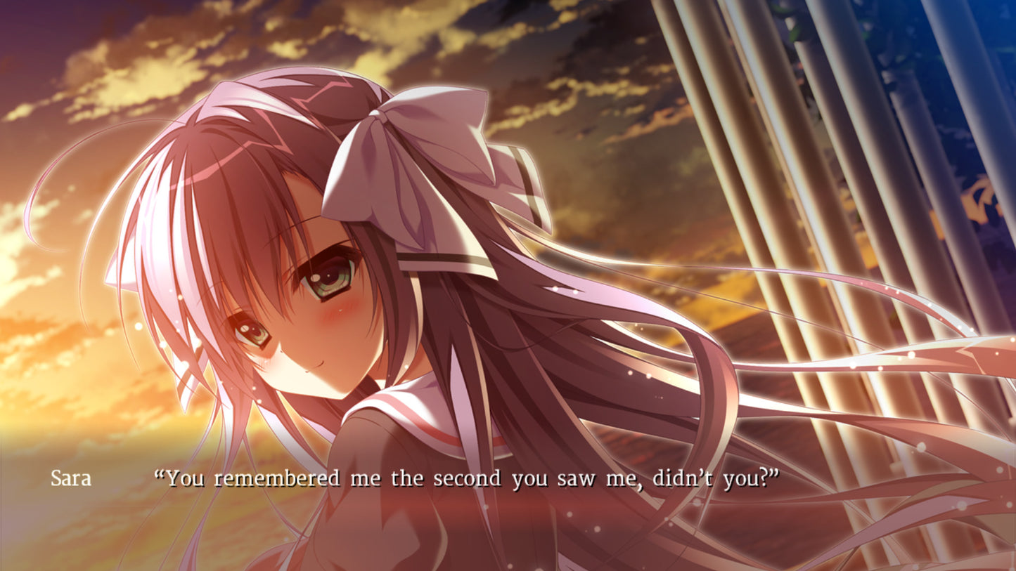 Buy Trinoline All Ages Version Steam Key Default Title Steam key – fast digital delivery | Volt Keys