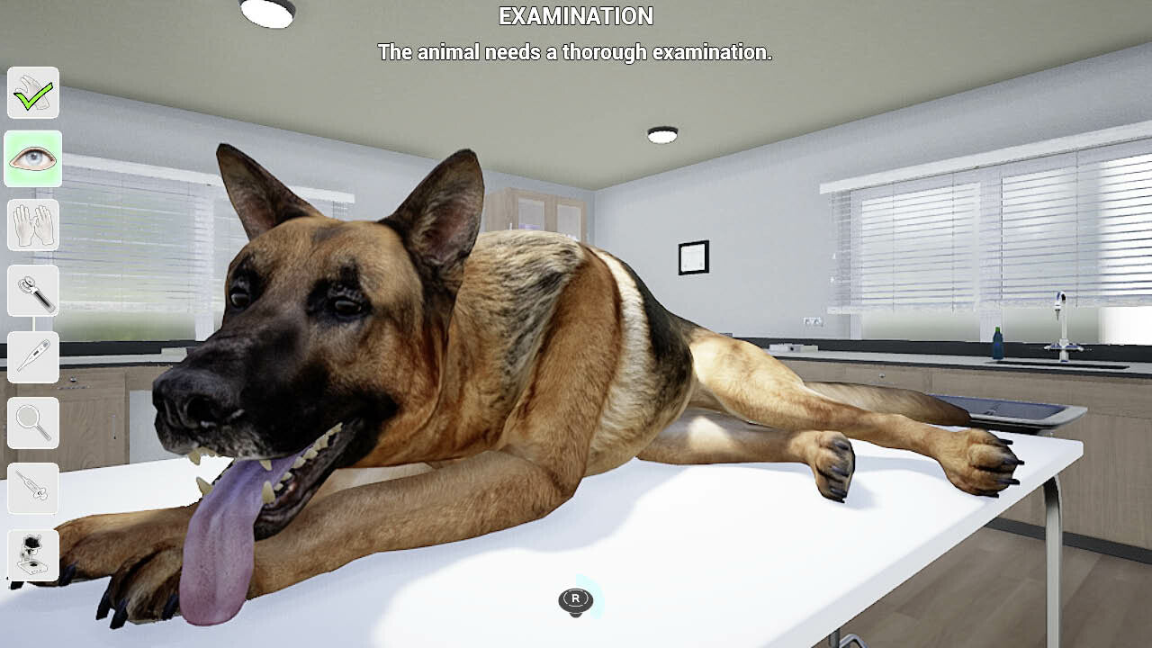 Buy My Life: Pet Vet Steam Key Default Title Steam key – fast digital delivery | Volt Keys