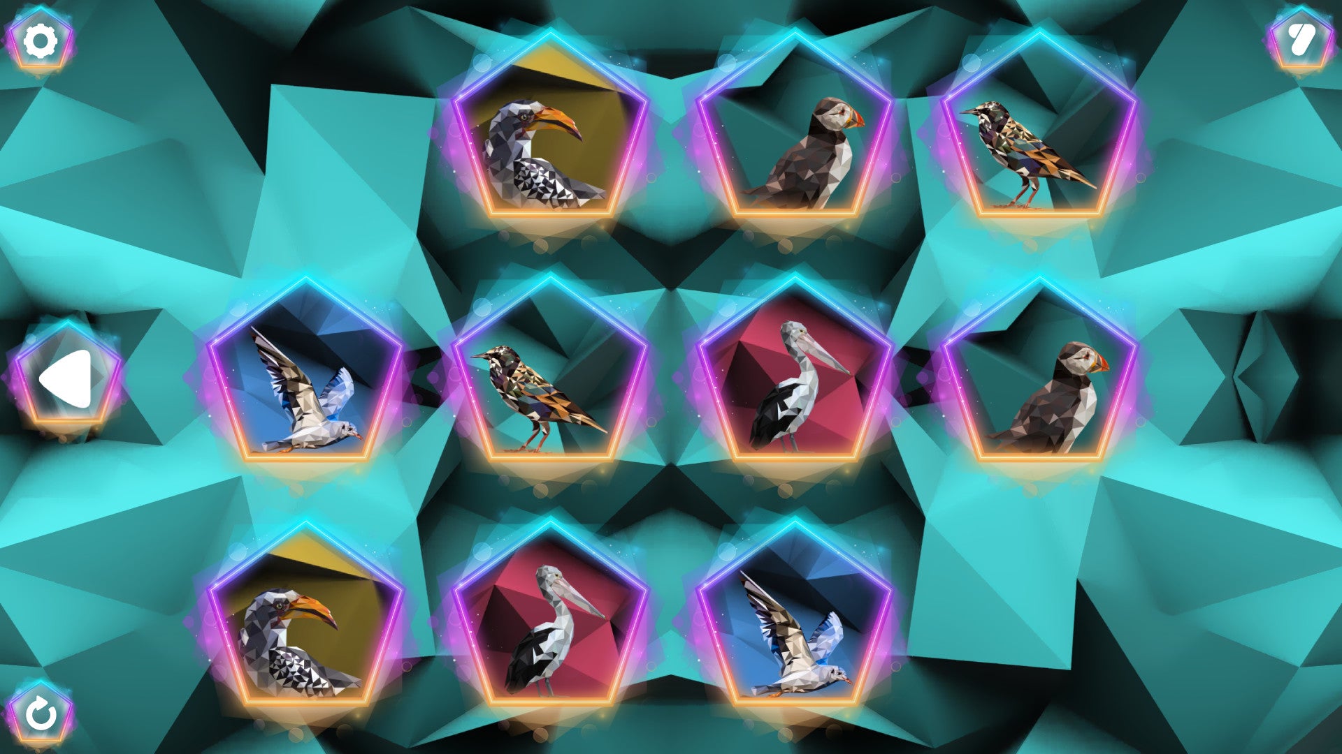 Buy Poly Memory: Birds Steam Key Default Title Steam key – fast digital delivery | Volt Keys