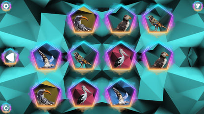 Buy Poly Memory: Birds Steam Key Default Title Steam key – fast digital delivery | Volt Keys