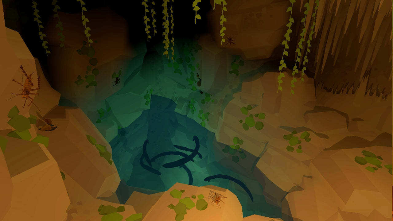 Buy Echo Grotto Steam Key Default Title Steam key – fast digital delivery | Volt Keys