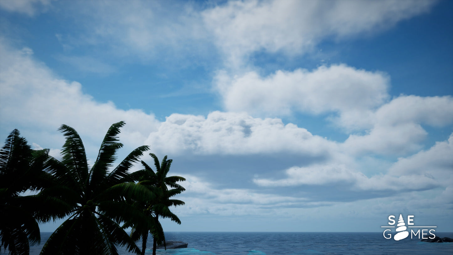 SAE PC Steam Key
