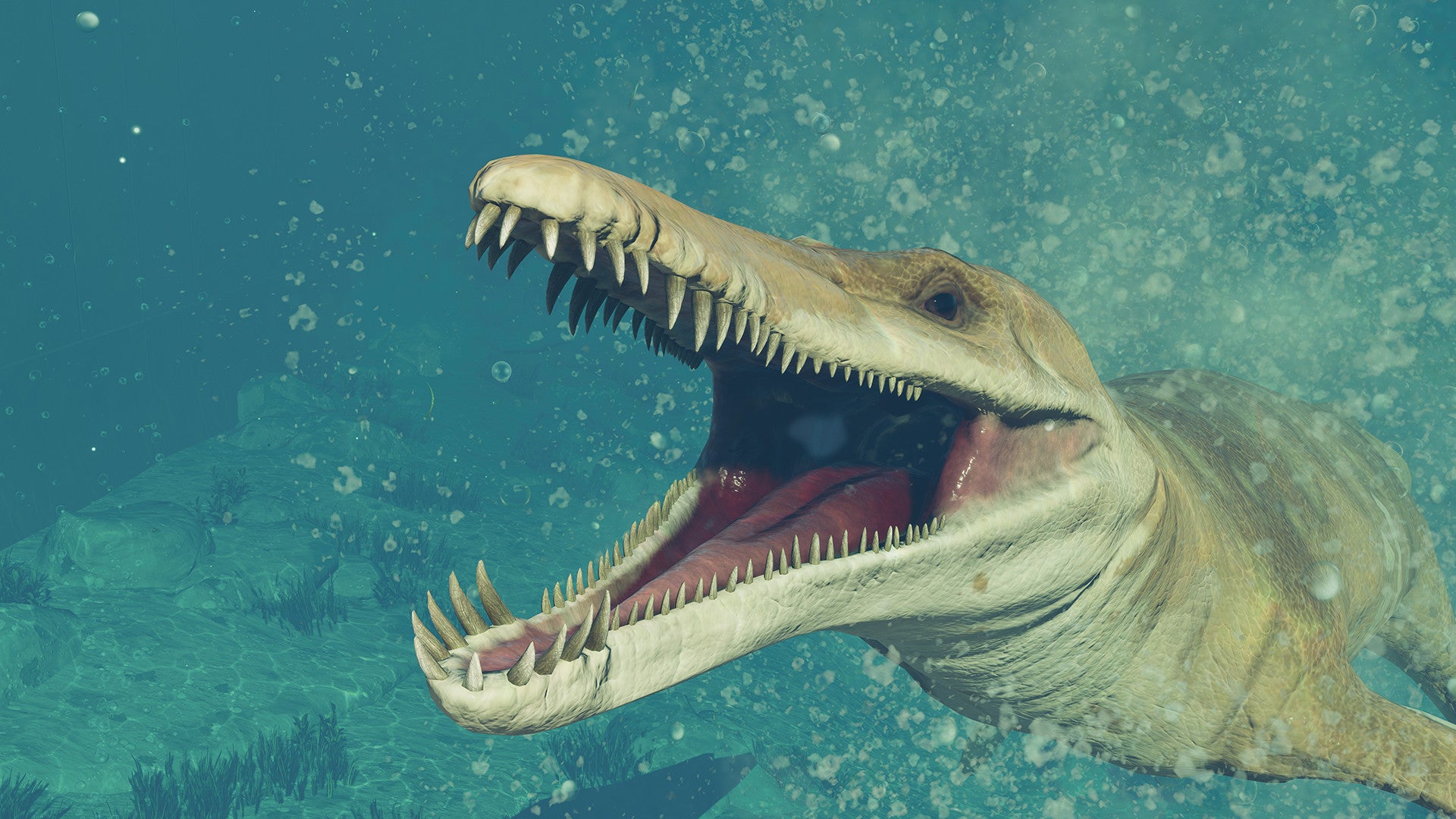 Buy Jurassic World Evolution 2 - Early Cretaceous Pack DLC Steam Key Default Title Steam key – fast digital delivery | Volt Keys