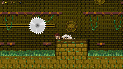 Buy RISKY CHRONICLES and the curse of destiny Steam Key Default Title Steam key – fast digital delivery | Volt Keys