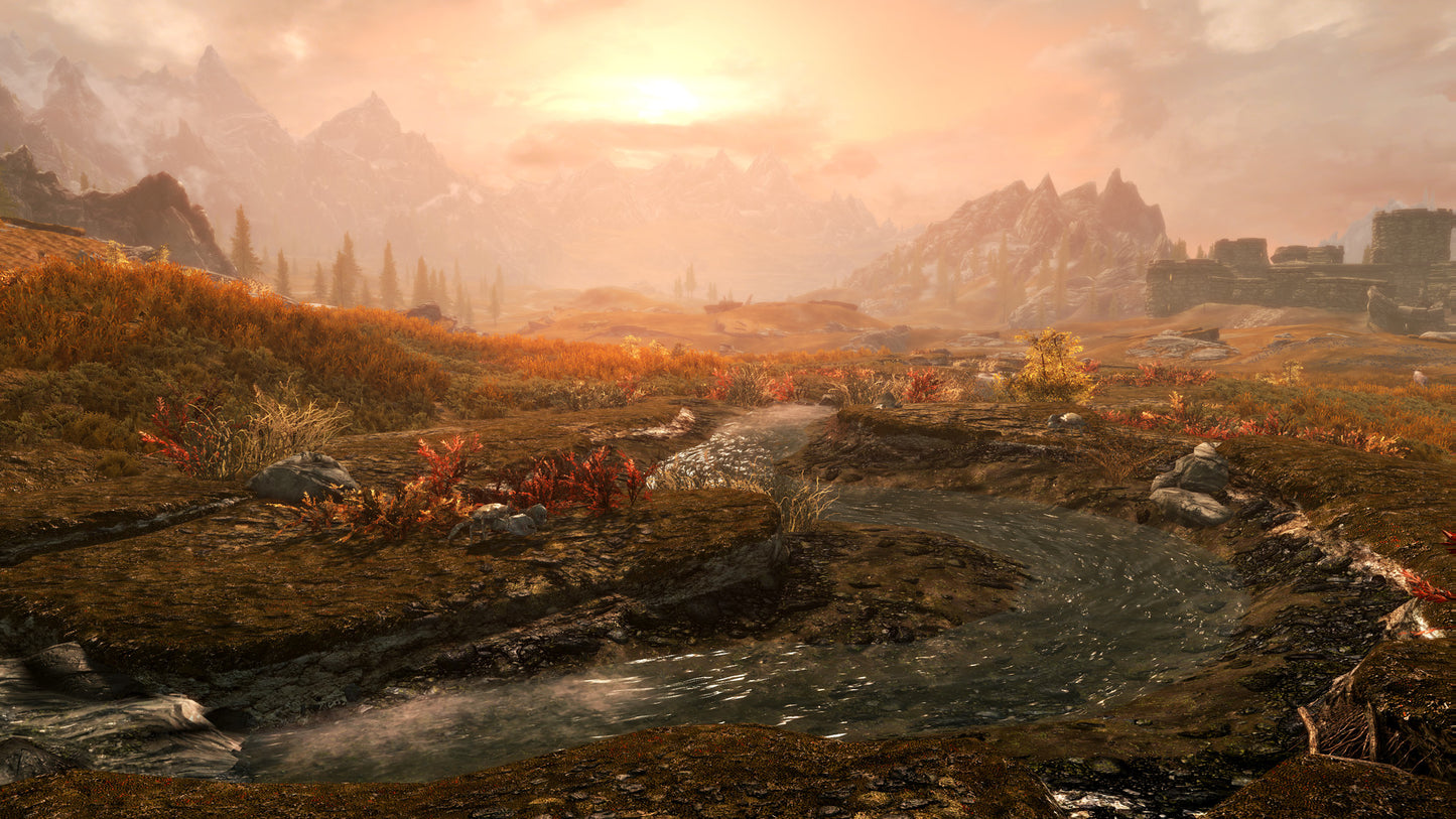 The Elder Scrolls V: Skyrim Special Edition IN PC Steam Key