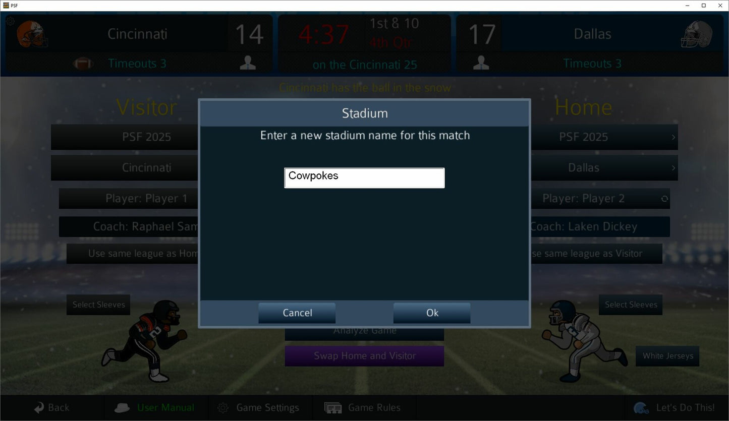 Pro Strategy Football 2025 PC Steam Key