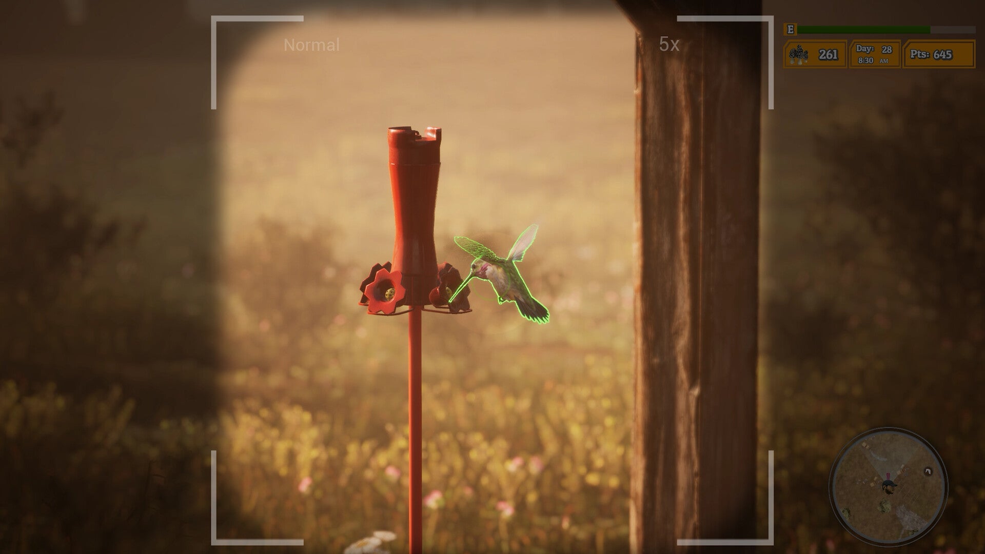 Buy Morels: The Hunt 2 Steam Key Default Title Steam key – fast digital delivery | Volt Keys