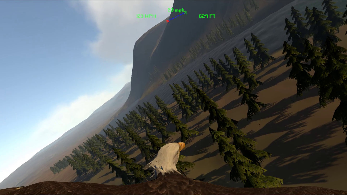 Buy Aquila Bird Flight Simulator Steam Key Default Title Steam key – fast digital delivery | Volt Keys