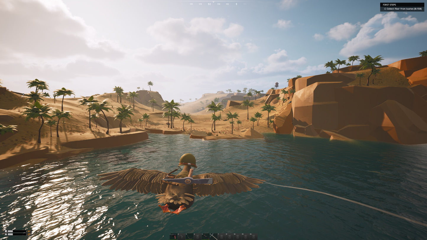 DUCKSIDE PC Steam Key