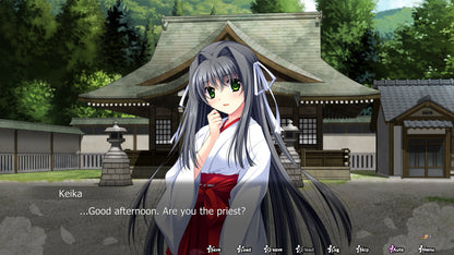 Buy Dawn of Kagura: Keika's Story PC Steam Key Default Title Steam key – fast digital delivery | Volt Keys