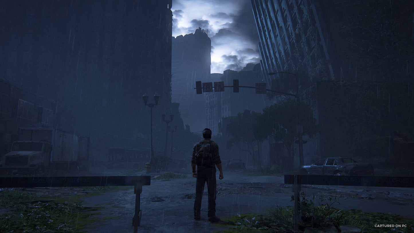 The Last of Us™ Part 1 Steam Key
